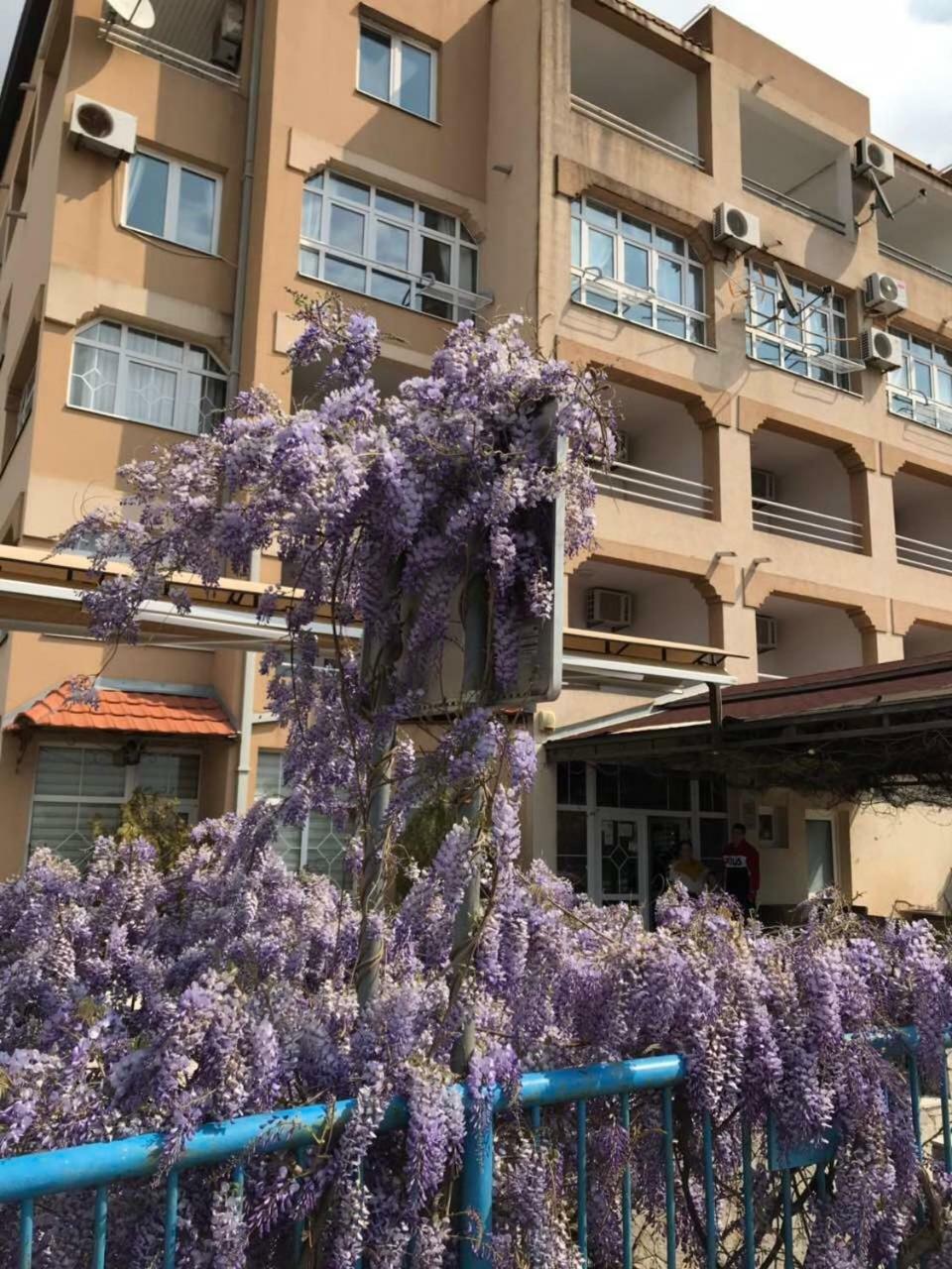 Guesthouse Villa Gaga Будва Экстерьер фото